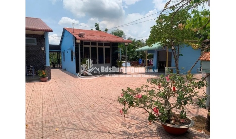 BÁN ĐẤTTRỒNG CÂY LÂU NĂM 300M2 XUNG QUANH ĐẦY ĐỦ TIỆN ÍCH SHR CHÍNH CHỦ KHÔNG TRANH CHẤP